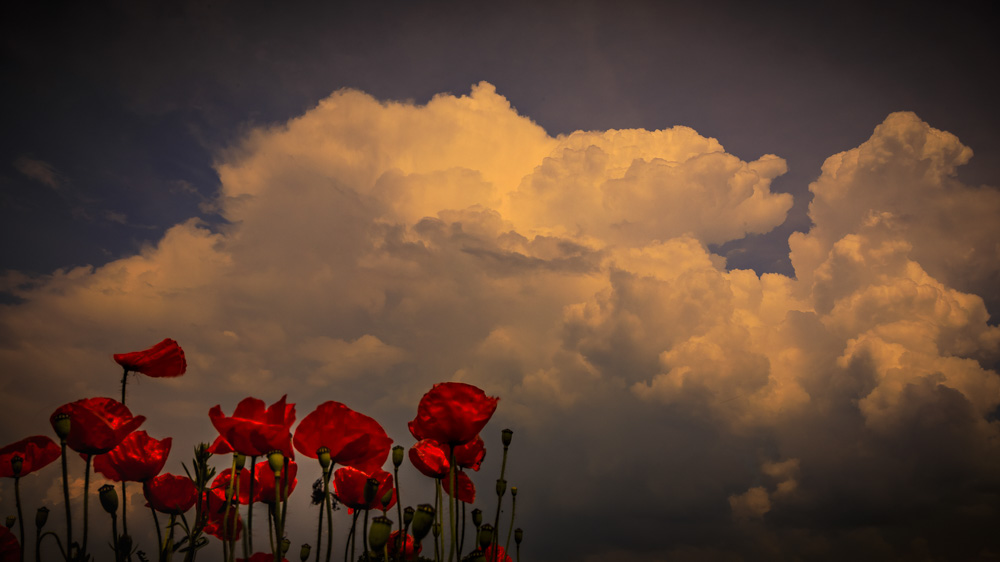 Platz 10 Anton Kienle (2)